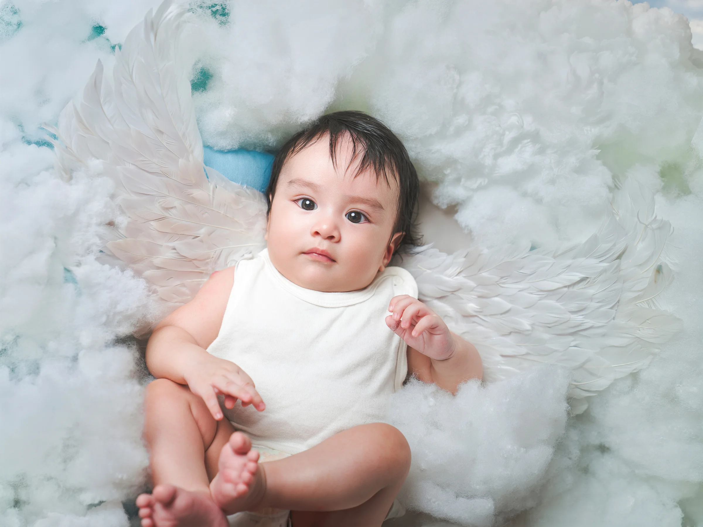 Bebés