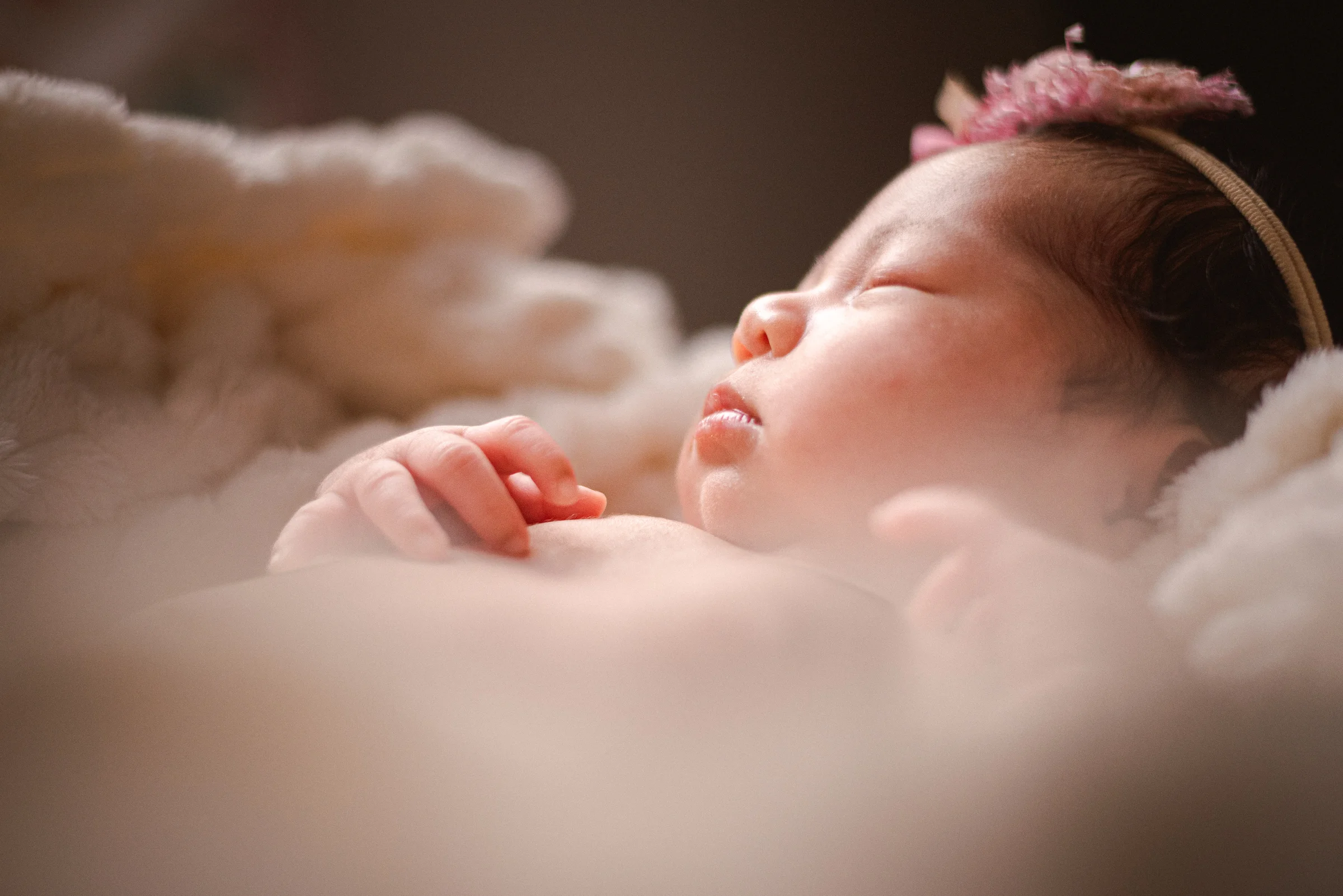 Bebés